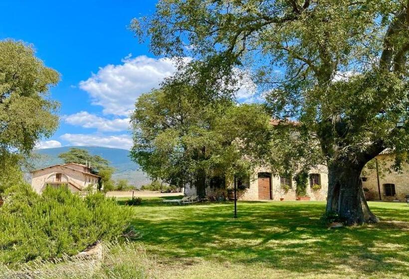 Дом 1 Спальня, Exclusive Pool Open All Year Spoleto Biofarm Slps 8 Village Shops, Bar1 Km