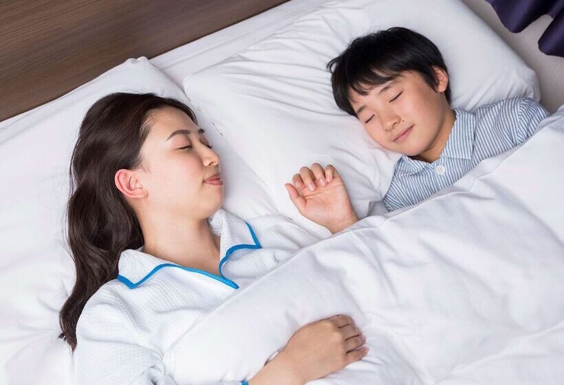 스탠다드 룸, Comfort Hotel Obihiro