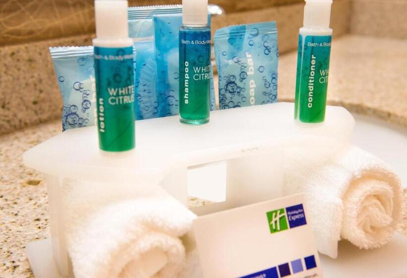 Люкс Кровать Кинг, Holiday Inn Express Hotel & Suites Bucyrus, An Ihg