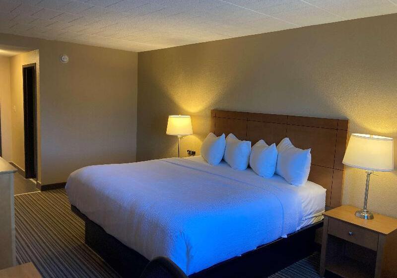 스탠다드 룸 킹사이즈 침대, Best Western Plus Reading Inn & Suites