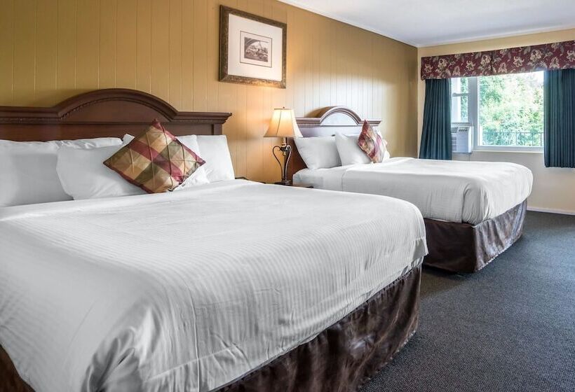 Номер Стандарт, Econo Lodge Inn & Suites