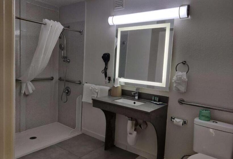 Номер Стандарт Кровать Кинг Адаптированный для Инвалидов, Best Western Atlanta Cumberland Galleria