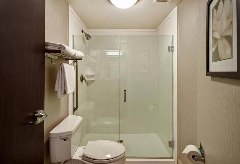 Студио Стандарт Кровать Кинг, Springhill Suites Louisville Airport