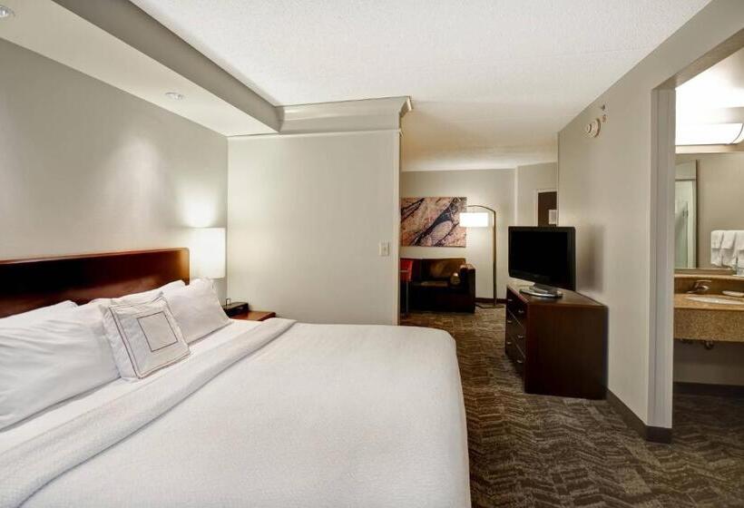 Студио Стандарт Кровать Кинг, Springhill Suites Louisville Airport