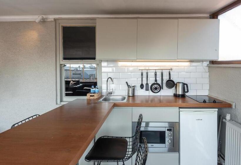 1 Bedroom Penthouse Apartment, Haus Galata