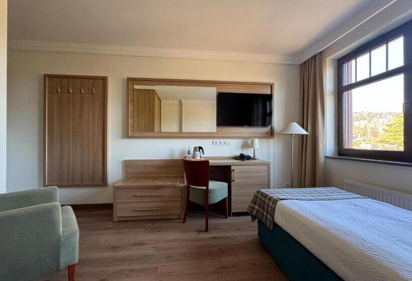 Номер Стандарт Индивидуальный, Greno Hotel & Spa
