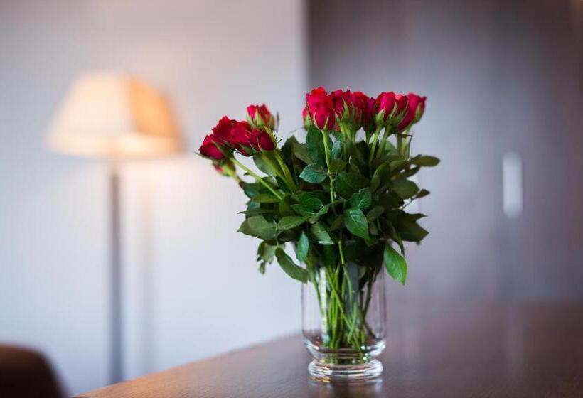 Номер Deluxe, Jasek Premium Hotel Wrocław