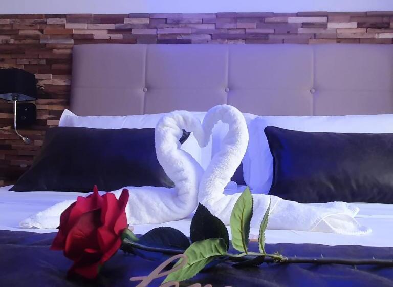Номер Стандарт, Loveroom La Garçonn Hyeres
