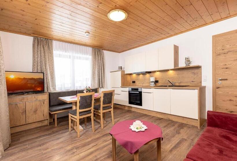 آپارتمان 1 خوابه با بالکن, Appartement Pension Auhof