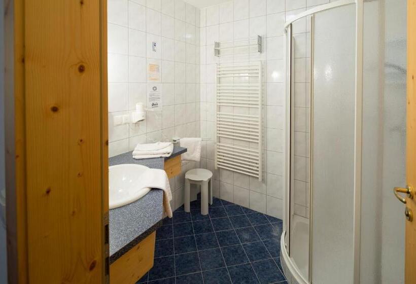 コンフォートシングルルーム, Garni Oasis Loipersdorf