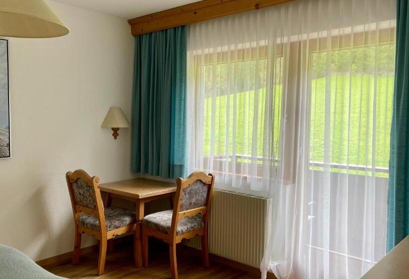 Номер Стандарт, Intermontana Hotel Garni