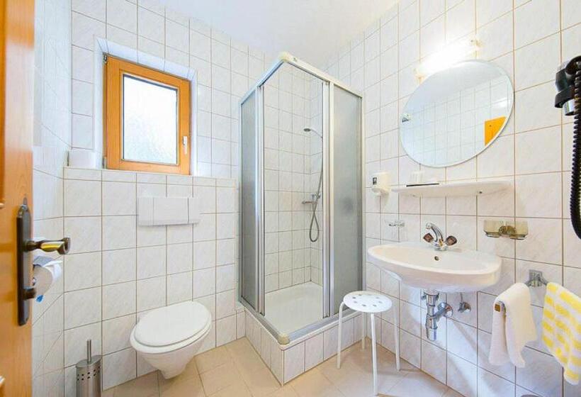 Номер Стандарт, Intermontana Hotel Garni