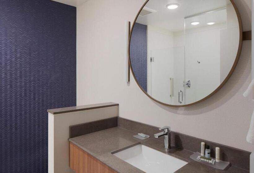 Президентский Люкс, Fairfield Inn & Suites By Marriott Stony Creek
