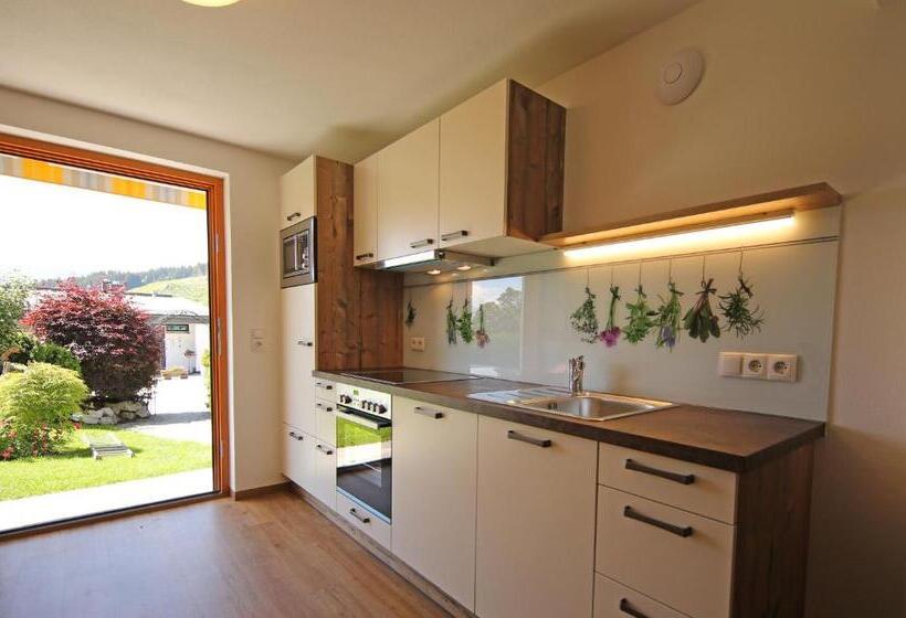 家族用アパートメント, Aparthotel Das Hochkönig