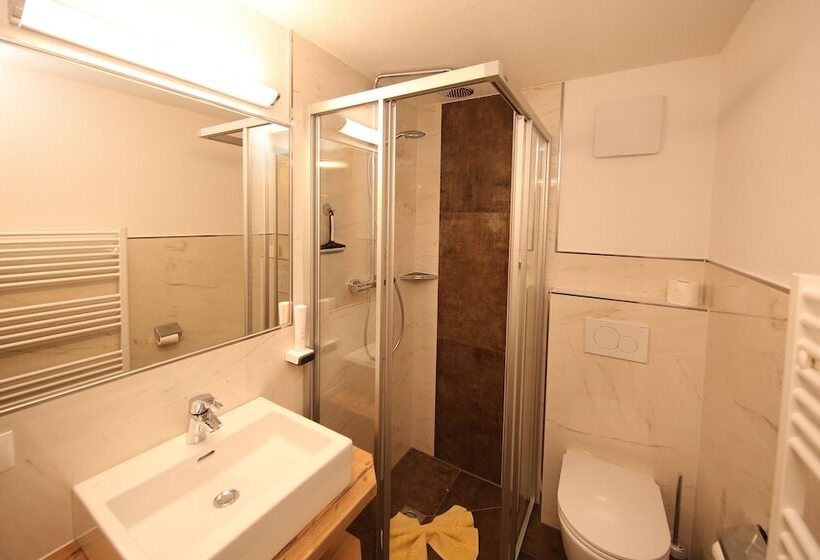 家族用アパートメント, Aparthotel Das Hochkönig