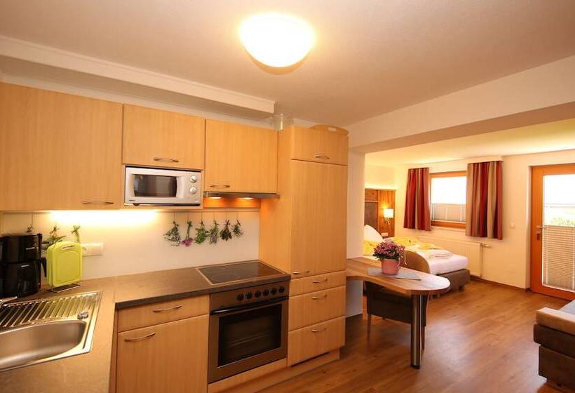 家族用アパートメント, Aparthotel Das Hochkönig