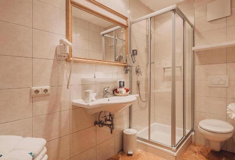 Номер Стандарт Трехместный, Auhof Kappl