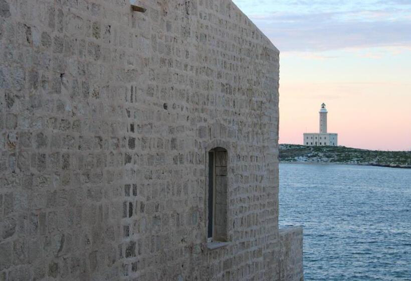 Номер Стандарт, Punta San Francesco