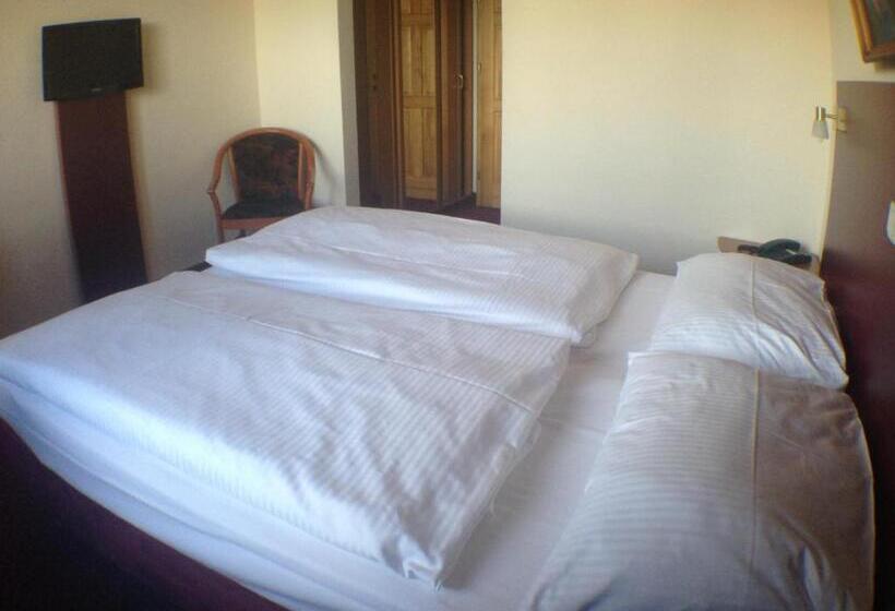 Номер Стандарт, West Hotel An Der Sächsischen Weinstrasse