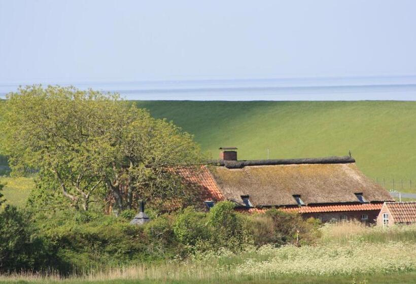 Номер Стандарт Вид на Озеро, Gasthof Großer Krug