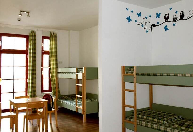 공동 객실, Sleepy Lion Hostel & Apartments Leipzig