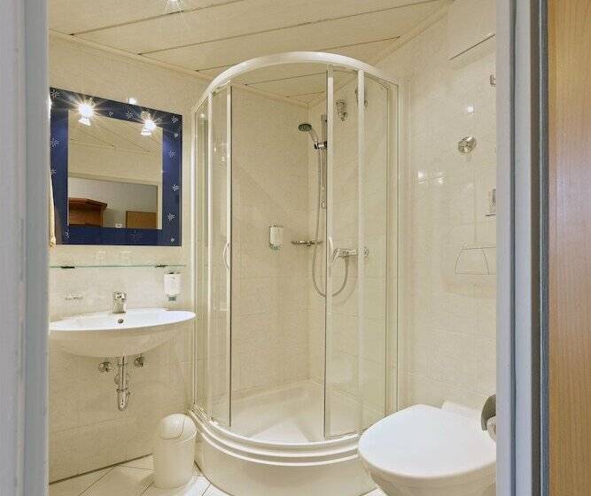 스탠다드 싱글 룸, Garni Hotel Goldenes Lamm