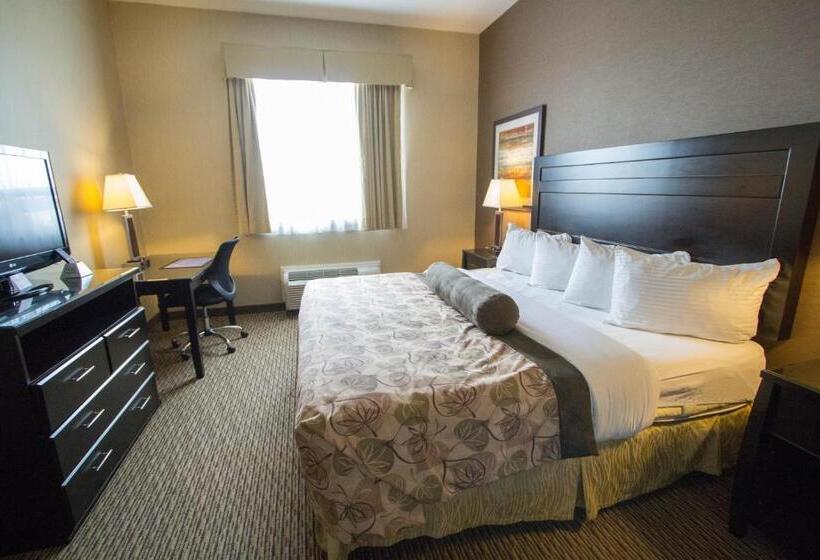 Стандартный Номер Кровать Кинг, Best Western Plus Estevan Inn & Suites