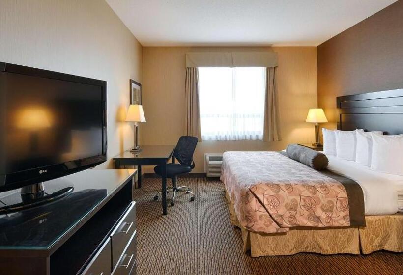 Люкс Повышенной Комфортности, Best Western Plus Estevan Inn & Suites