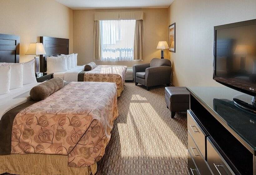 Номер Стандарт, Best Western Plus Estevan Inn & Suites