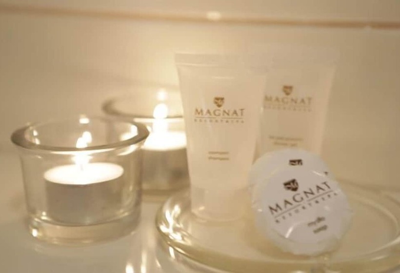Номер Стандарт, Magnat Resort & Spa