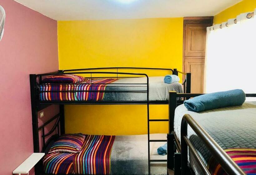 تختخواب در اتاق مشترک, Hostal Central Oaxaca