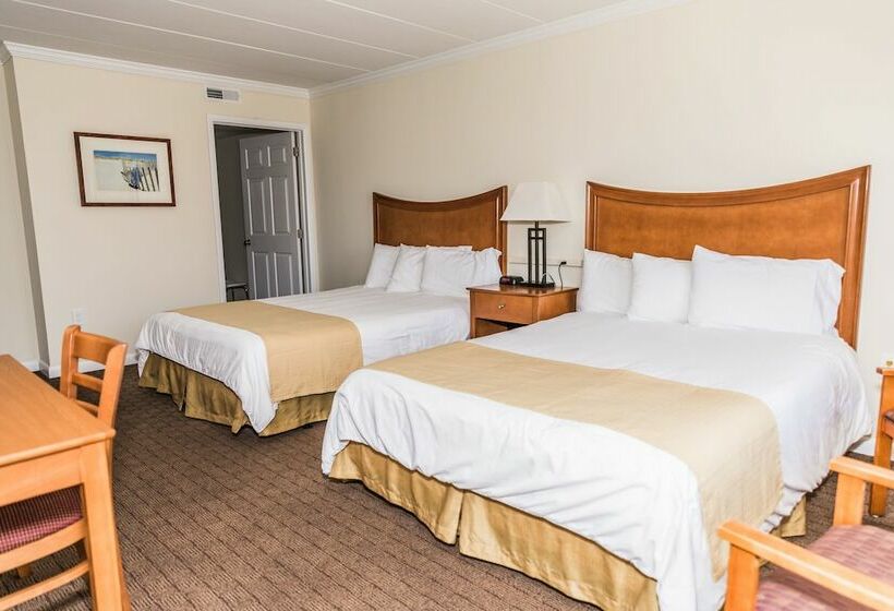 Люкс Повышенной Комфортности, Desert Sand Resort