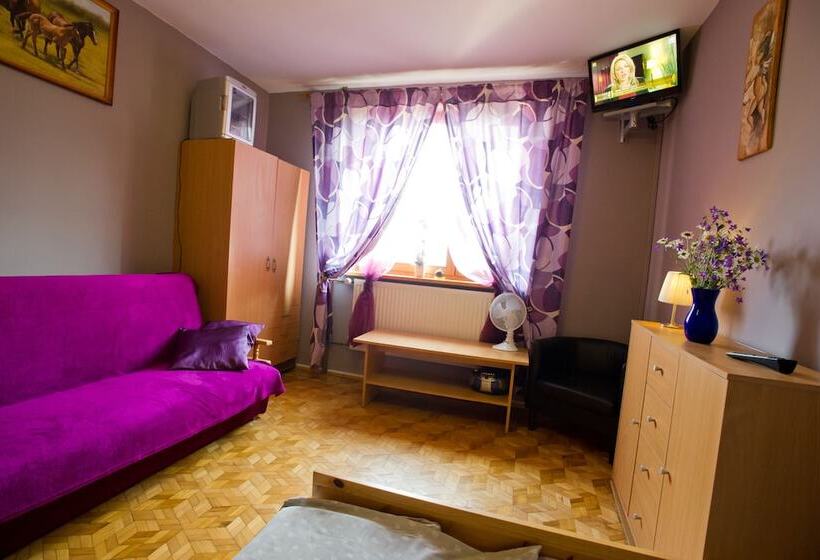 Номер Стандарт Трехместный, Kosajonka