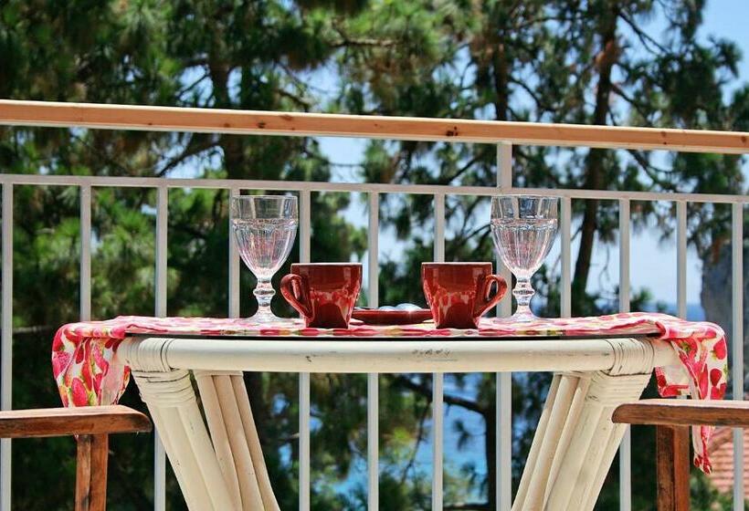 اتاق اساندارد با چشمانداز جانبی به دریا, Zefiros Traditional