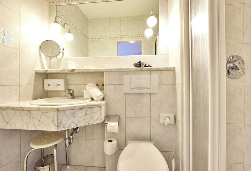 Номер Deluxe Одноместный, Alpenhotel Rieger