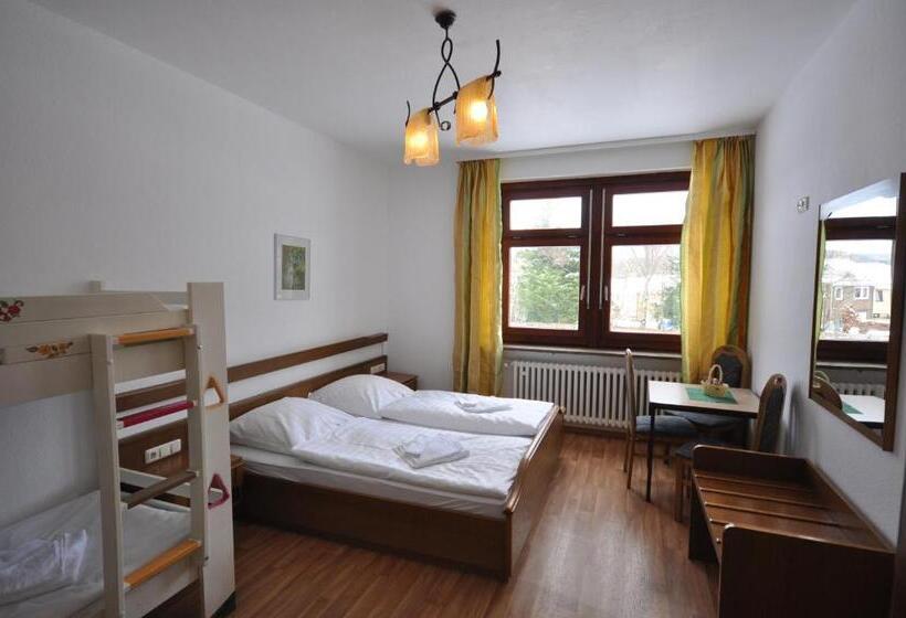 Апартаменты 2 Спальни, & Hostel Drei Baren