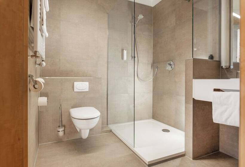 舒适型单人间, Landhotel Endhart