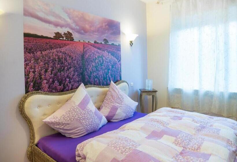 Номер Стандарт Совместная Ванная, Park Villa Gernsheim