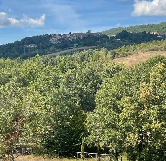 Family Suite, In Campagna
