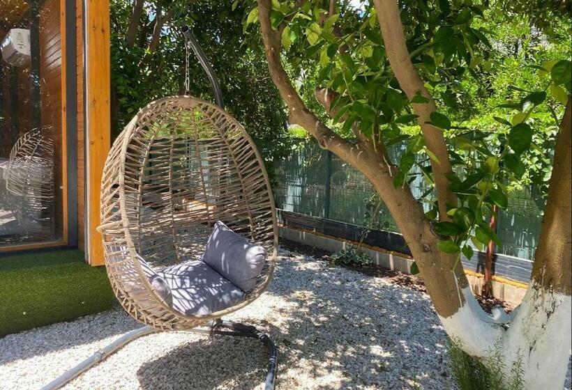 اتاق استاندارد چهارنفره با چشمانداز باغ, Collesium Garden