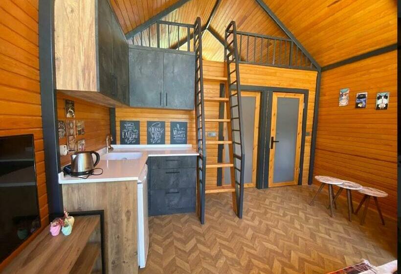 اتاق استاندارد چهارنفره با چشمانداز باغ, Collesium Garden