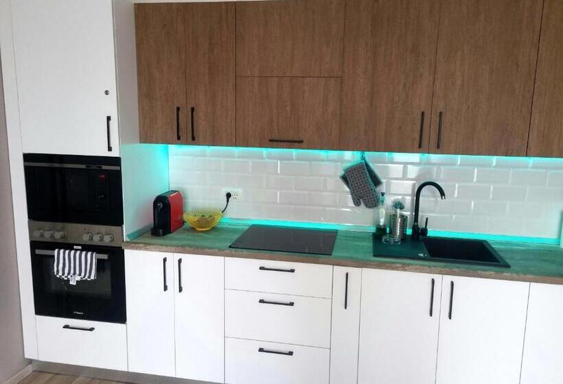 Apartamento 1 Dormitório, Apartamentul ștefan Băile Felix
