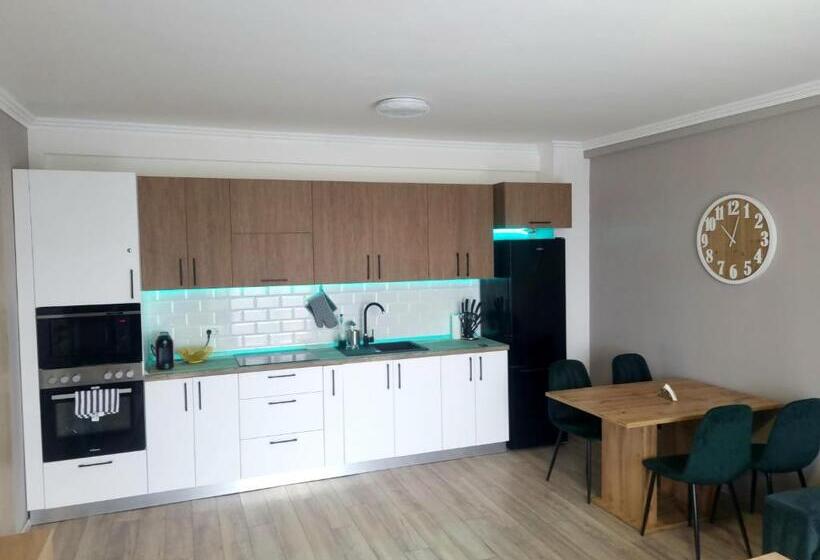 Apartamento 1 Dormitório, Apartamentul ștefan Băile Felix