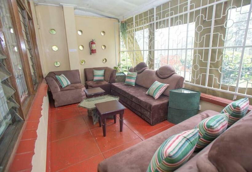 اتاق استاندارد یک نفره, The Nest Guest House