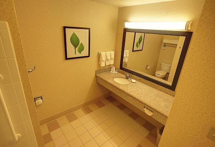 חדר סטנדרט עם מיטת קינג, Fairfield Inn & Suites Mount Vernon Rend Lake