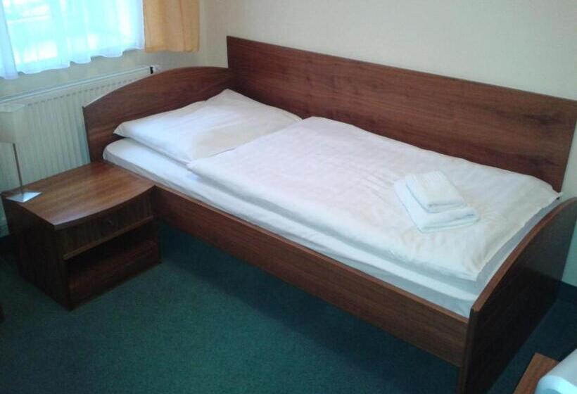 标准单人间, Parkhotel Centrum