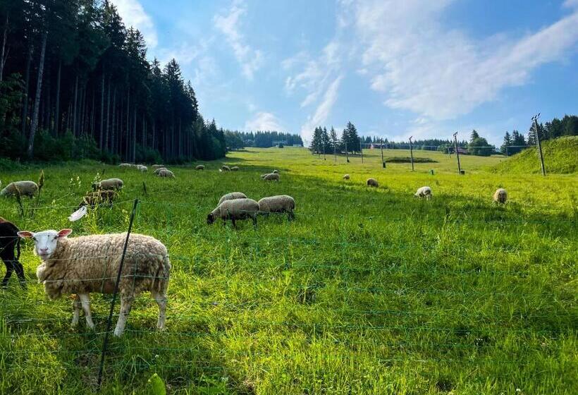 Четырехместный Номер Стандарт, Horský Penzion Vebrovy Boudy