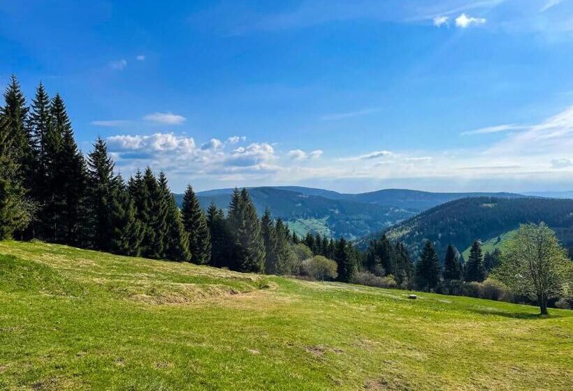 Четырехместный Номер Стандарт, Horský Penzion Vebrovy Boudy
