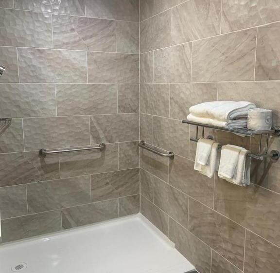 장애인을 위한 킹사이즈 침대 스탠다드 룸, Days Inn By Wyndham Bronx Nyc