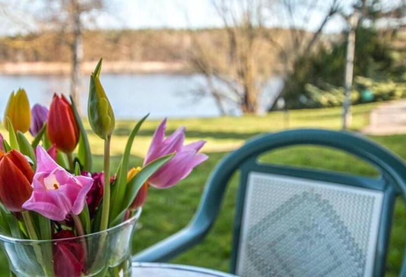 Номер Стандарт с Террасой, Garni Seehotel Mühlenhaus